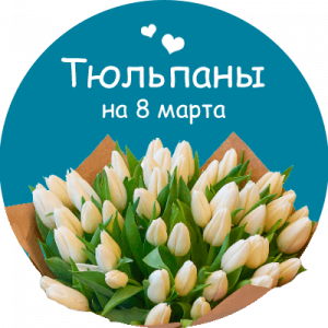 Купить тюльпаны в Славгороде